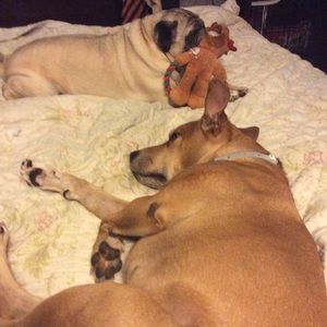 Meet your Posher, Heather